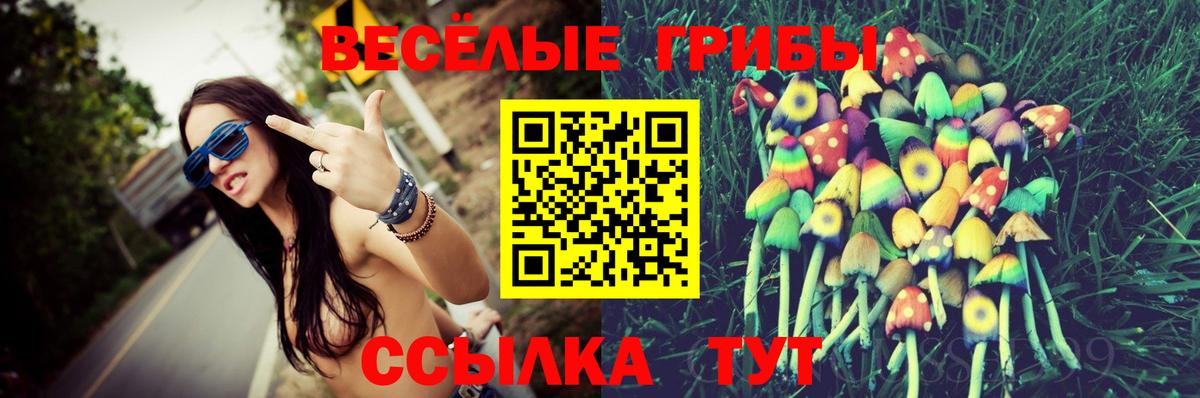 Псилоцибиновые грибы ЛСД Дмитров